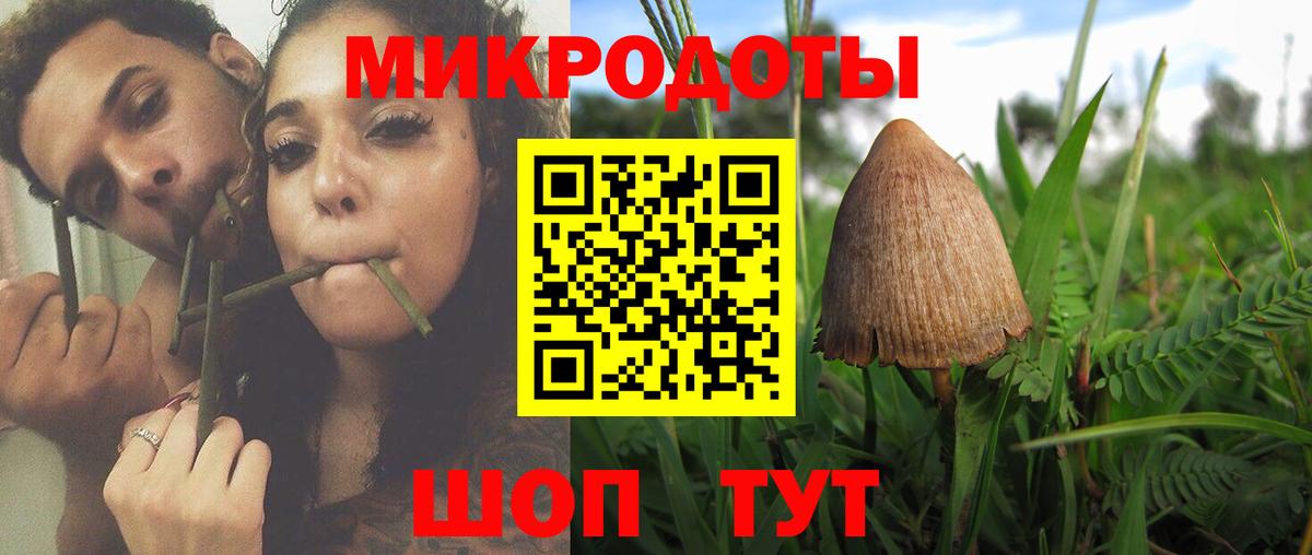 Городец  Галлюциногенные грибы мухоморы  наркошоп  Псилоцибиновые грибы Psilocybe  Вход с VPN 